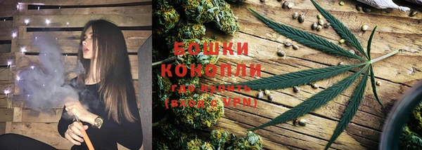 стафф Михайлов