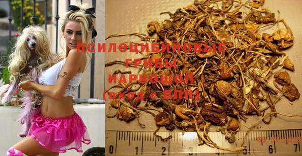 стафф Михайлов