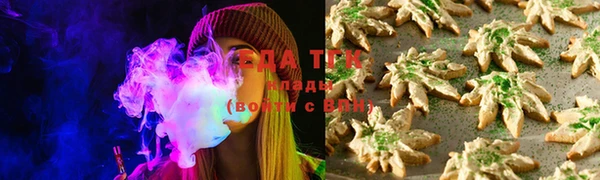 стафф Михайлов