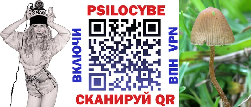 Галлюциногенные грибы мицелий  Остров 